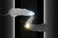 Ментальная связь Ментальная связь