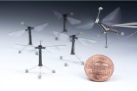 ������-��������� RoboBee