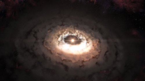 �������� ������� Oph-IRS 48