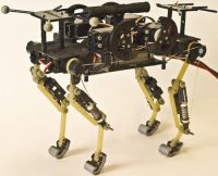 Робот-кошка EPFL Робот-кошка EPFL